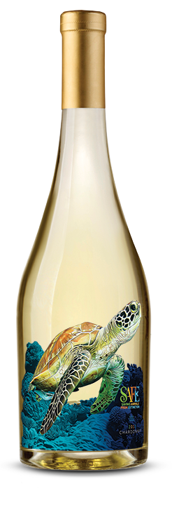 Sea_Turtle_Bottle