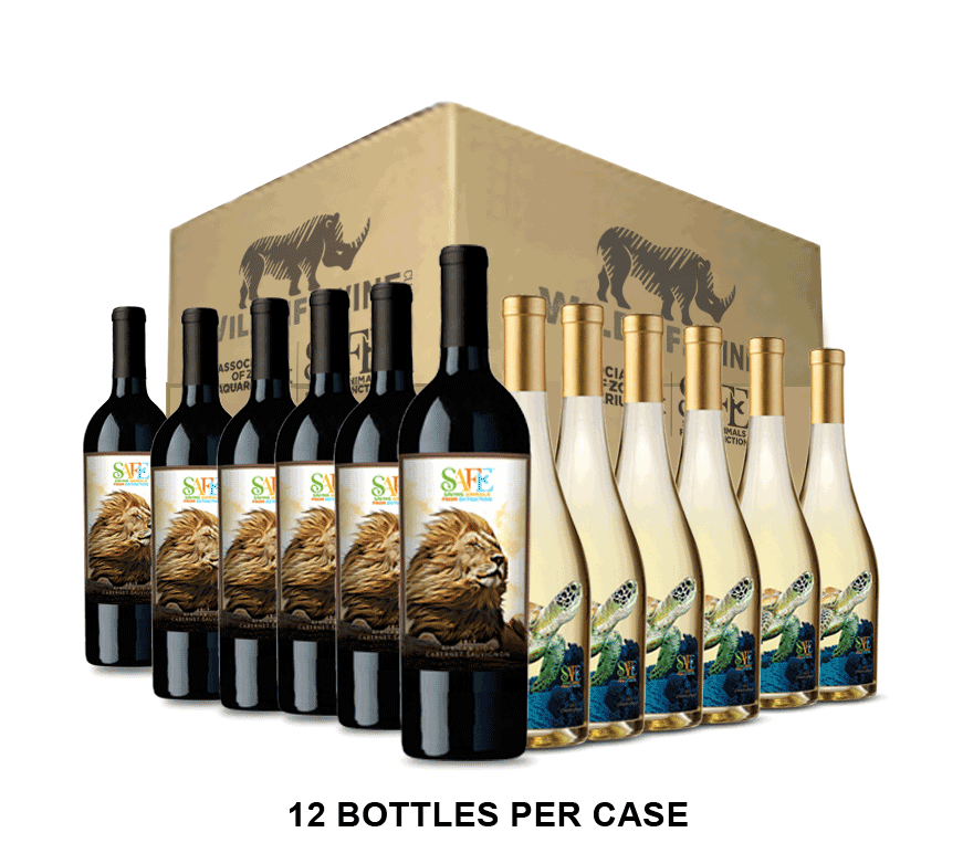 AZA-SAFE-African-Lion-Sea-Turtle_Case