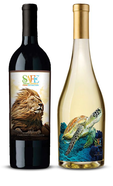 Sea_Turtle_African_Lion