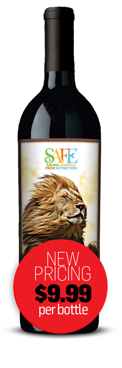 bottle-African_Lion_Cabernet_999