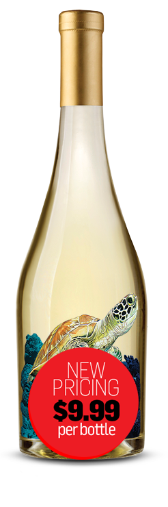 bottle-sea-turtle-chardonnay_999